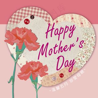 母亲节 妈妈 康乃馨