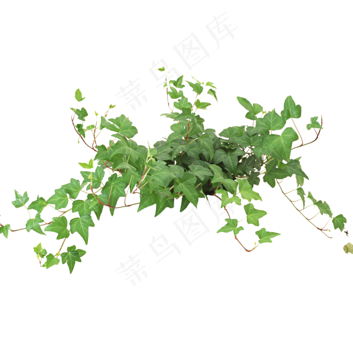 北欧小清新绿色植物无框画装饰画元素(2362X2362)