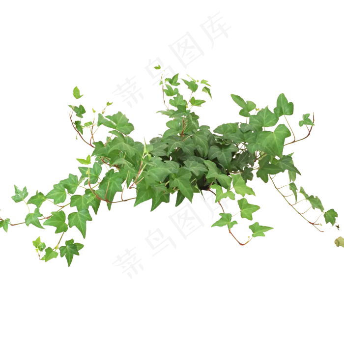 北欧小清新绿色植物无框画装饰画元素(2362X2362)