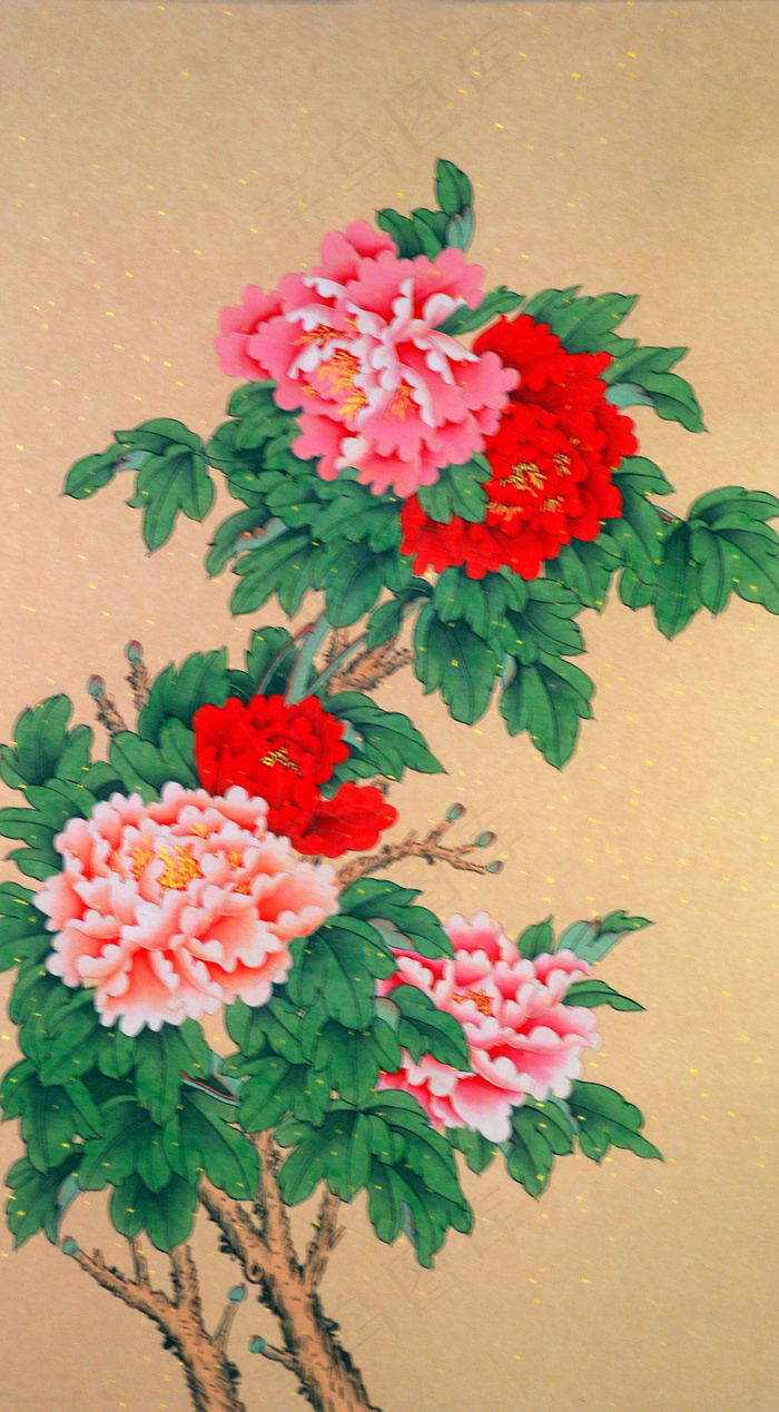 国画 牡丹 高清素材
