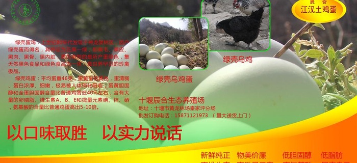鸡蛋包装标贴图片(2066X1062(DPI:300))psd模版下载