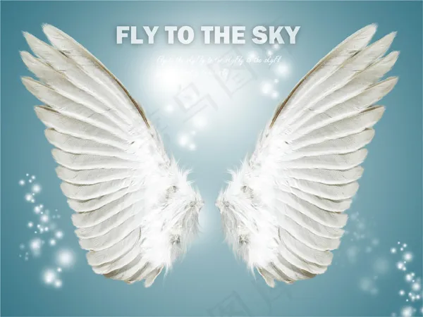 翅膀羽毛免费下载psd模版下载