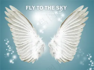 翅膀羽毛免费下载