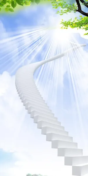 企业易拉宝图片