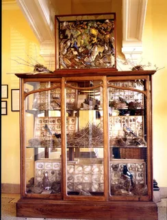 *豪华公寓式酒店内景装修设计图片