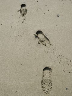 沙滩上的足迹图片