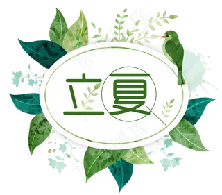 立夏二十四节气清新设计素材