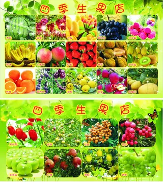水果海报