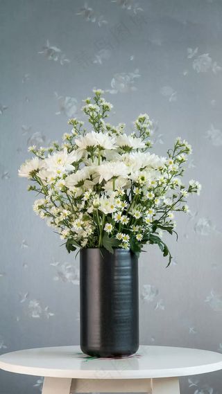 菊花高清摄影图片