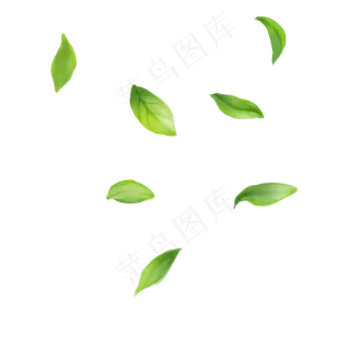 绿色茶叶,免抠元素