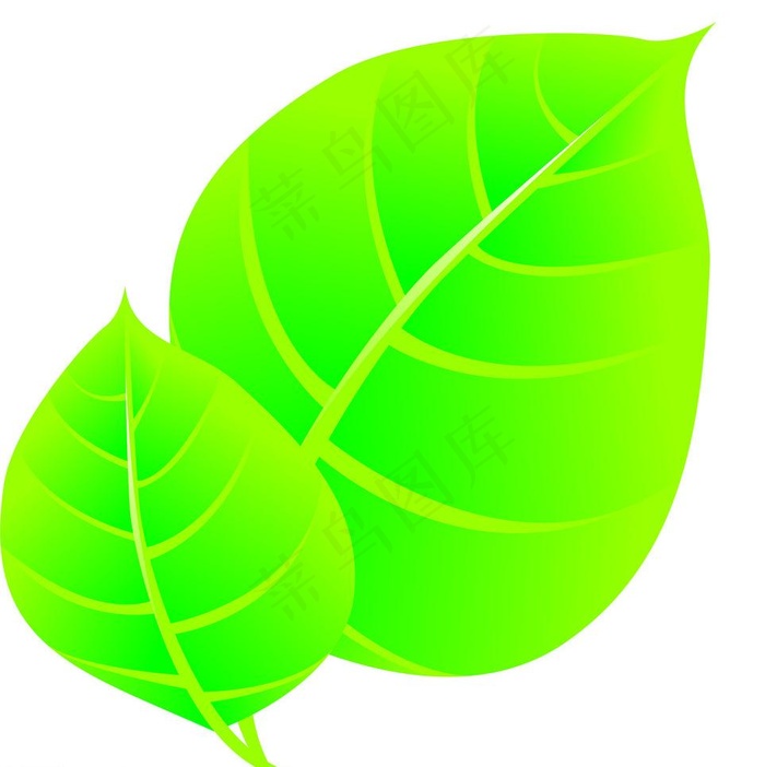 树叶图片cdr矢量模版下载