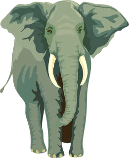 大象的剪辑艺术