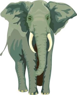 大象的剪辑艺术