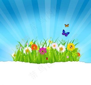 绿草鲜花蝴蝶 梦幻春天背景图片