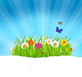绿草鲜花蝴蝶 梦幻春天背景图片