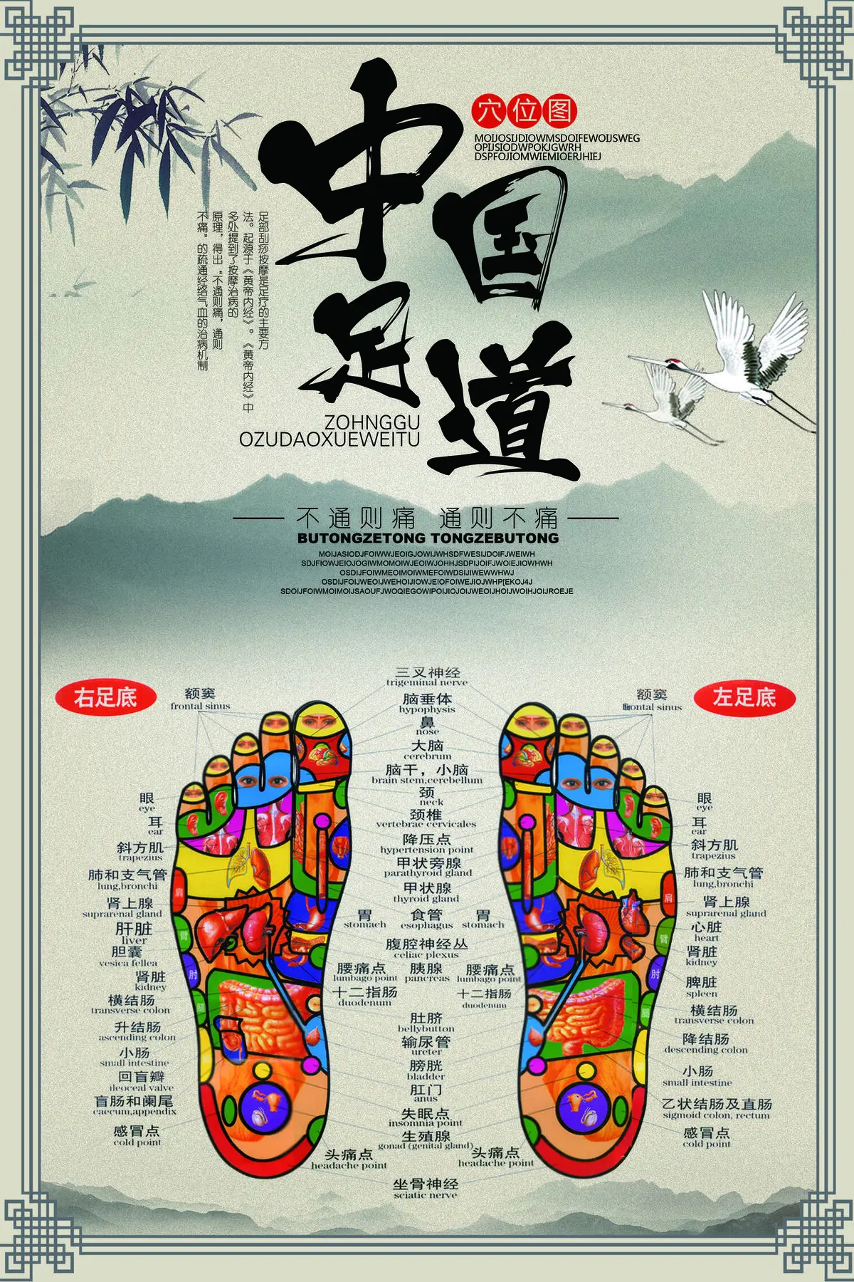 中国风足道穴位图海报(3543X5315(DPI:150))psd模版下载