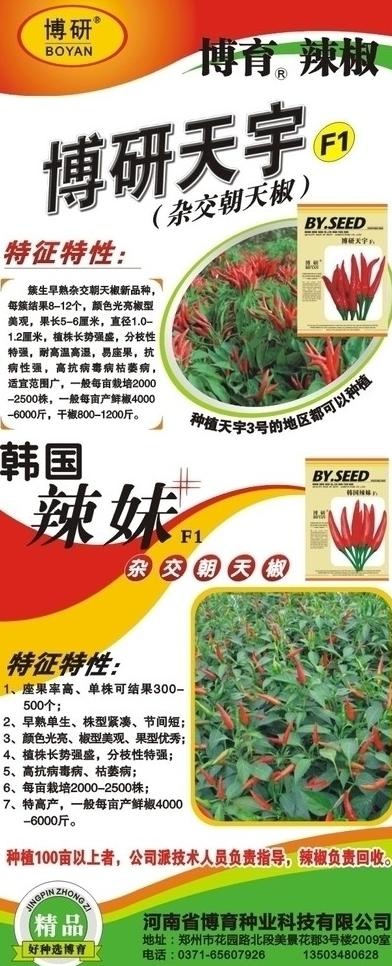 辣椒展板图片cdr矢量模版下载
