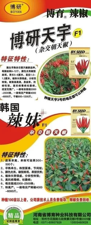 辣椒展板图片