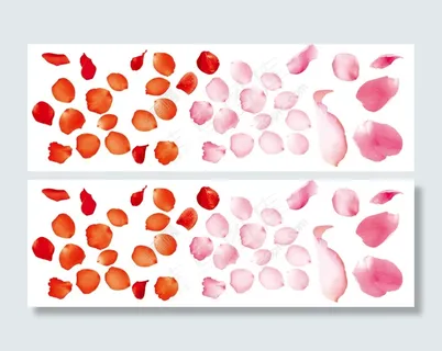 花瓣  花  psd 花瓣  花  psd