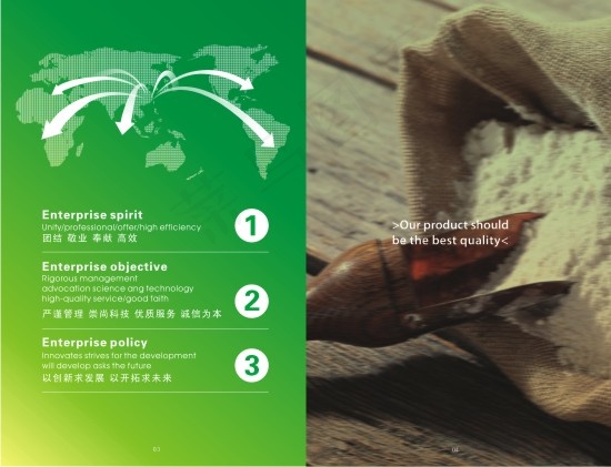 万通食品企业画册矢量图