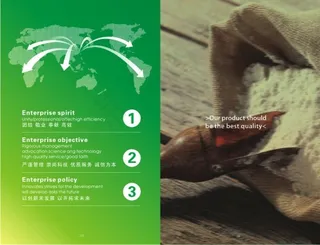 万通食品企业画册矢量图