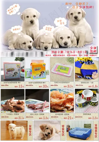 宠物用品关联海报模板素材