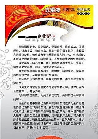 五粮液企业精神 公司制度模板分层素...