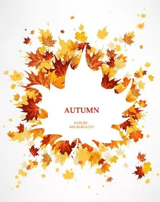 枫叶创意设计矢量素材