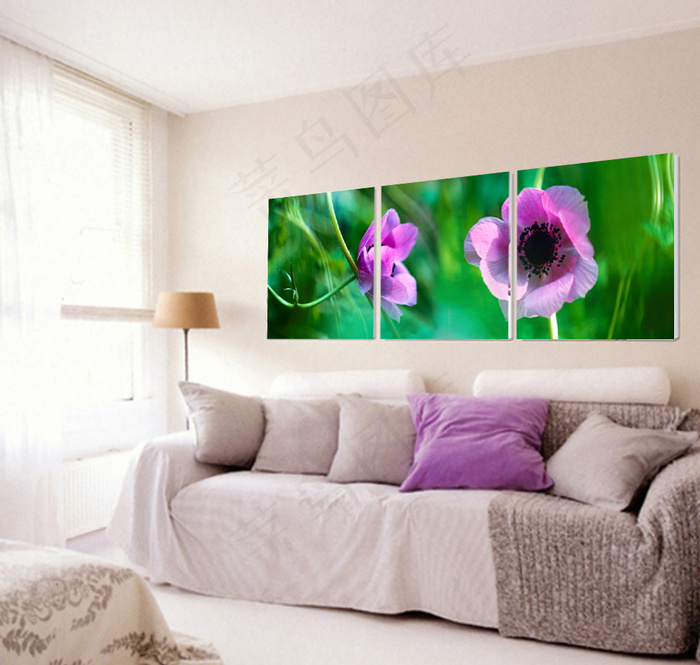 客厅花朵装饰画