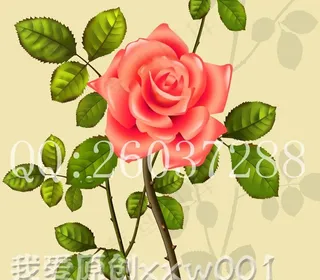 水晶红玫瑰图片