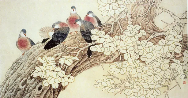 工笔鸽子小鸟玉兰桃花树枝休息 工笔鸽子小鸟玉兰桃花树枝休息