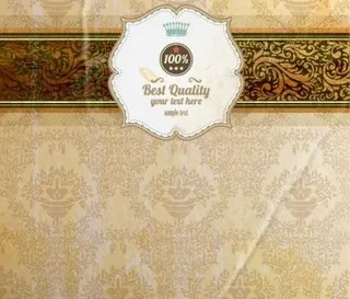 欧式花纹背景01矢量