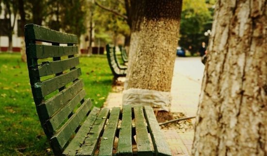 梦幻光斑毕业相册开场展示会声会影模...