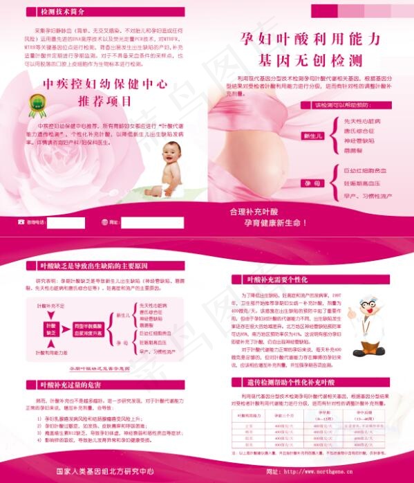 单页孕妇叶酸基因无创检测psd模版下载