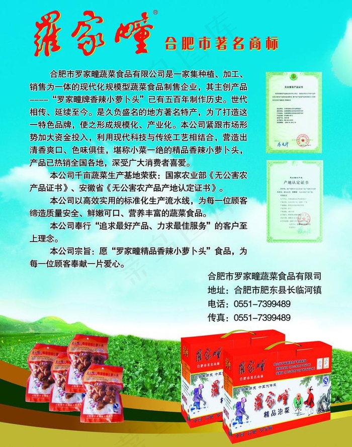 蔬菜食品单页图片