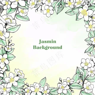 手绘茉莉花插画卡片矢量设计