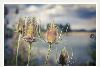 jQuery图片点击切换插件