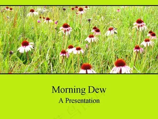 绿草红花PPT模板