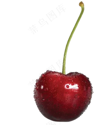 卡通樱桃车厘子水果设计png素材