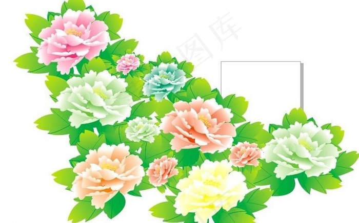 牧丹花cdr矢量模版下载