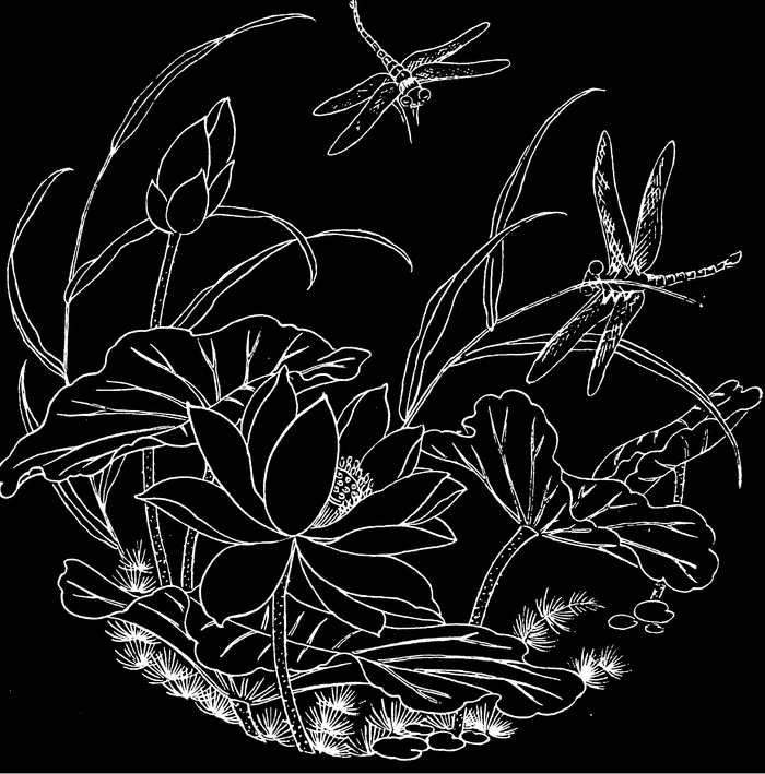 荷花蜻蜓图
