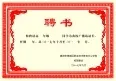 聘书  花边  背景   模板cdr矢量模版下载
