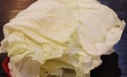 大白菜 火锅原料 大白菜 火锅原料