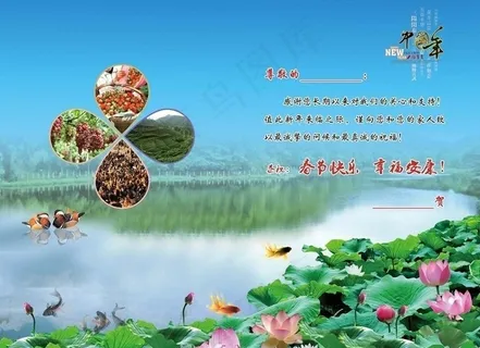2011邮政贺卡内页图片