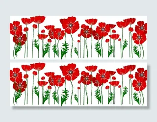 春天的花的背景与文本的地方