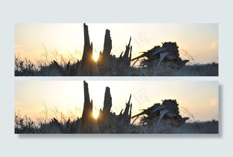 简约设计html5响应模板