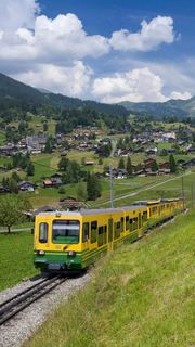 外国乡镇观光车高清摄影图片