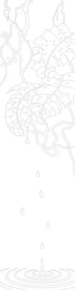 滴水落叶图片cdr矢量模版下载