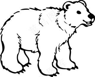 年轻的熊剪贴画