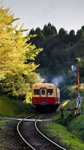 旅游观光车高清摄影图片